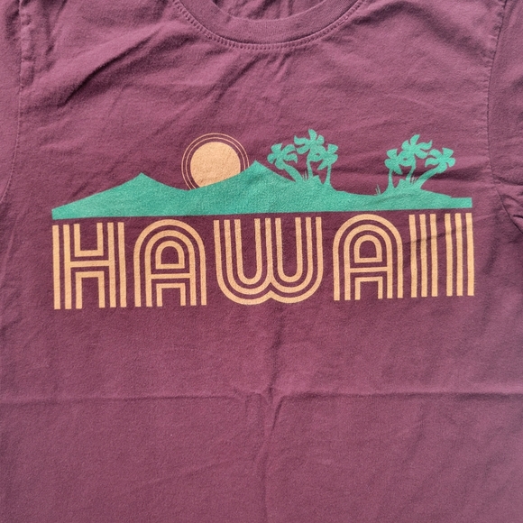 Vintage Unisex Alternative Apparel Hawaii Tee - Picture 4 of 14